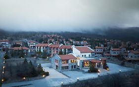 Domotel Neve Mountain Resort